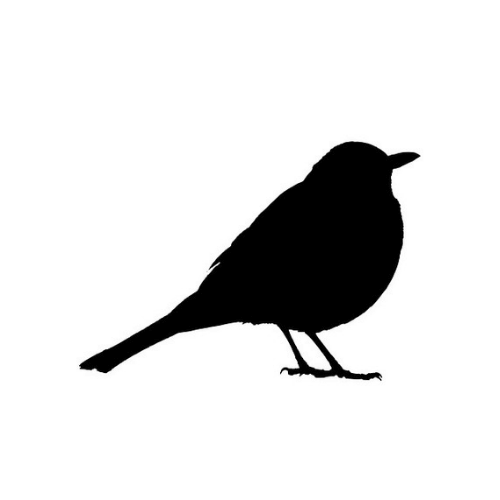 永久保存版 初心者向けトランプマジック始め方完全ガイド タネコレ 本格マジック種明かし集